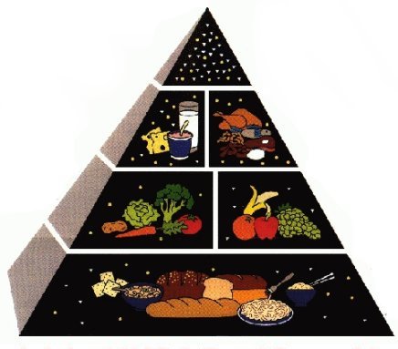 The USDA introduced the “Food Pyramid” in 1992, which encouraged us to 